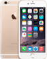iPhone 6+